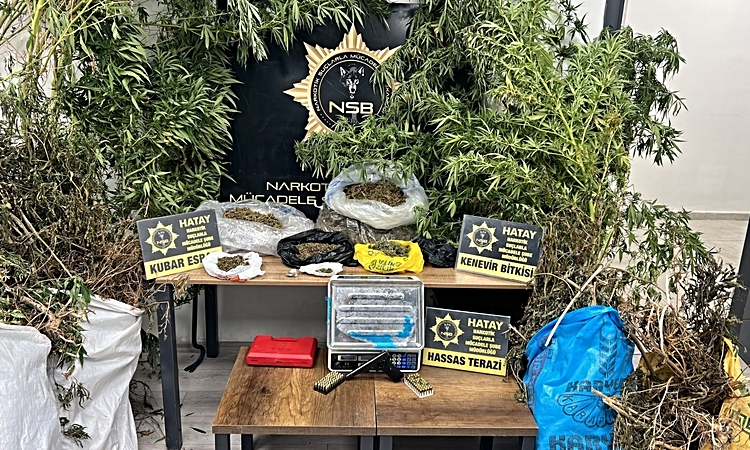 Kritik Açıklama: Hatay'da 14 kilo 752 gram esrar, 122 kök kenevir bulundu; 1 şüpheli hakkında tutuklama kararı