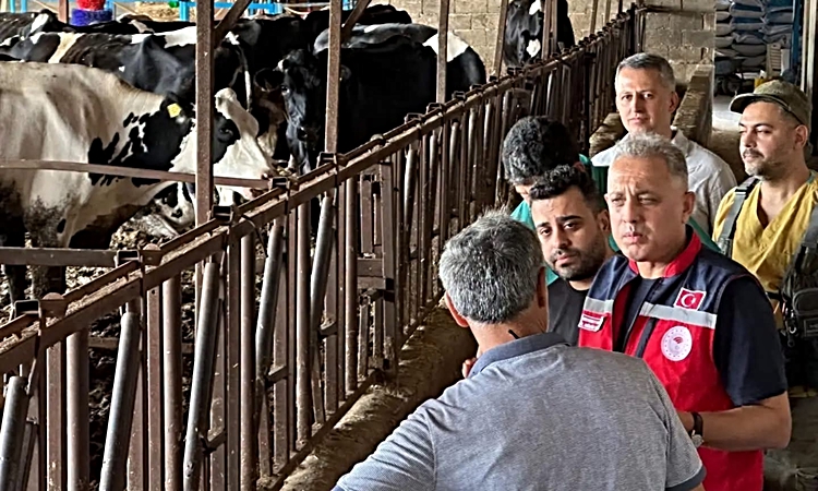 Kritik Açıklama: Hatay Altınözü'ndeki hayvancılık işletmesine Hastalıktan Ari İşletme Modeli anlatıldı ve Mera