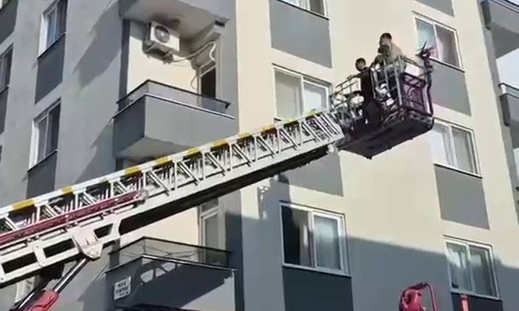 Kritik Açıklama: Hatay'da böcekten korkan kadın balkon duvarında mahsur kaldı, itfaiye kurtardı | İşte Tüm Ayr