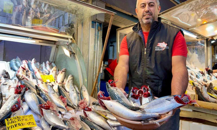 Kritik Açıklama: İzmir'de palamut bolluğu tezgahlarda tanesi 100 liradan satılıyor - Son Dakika Bilgileri