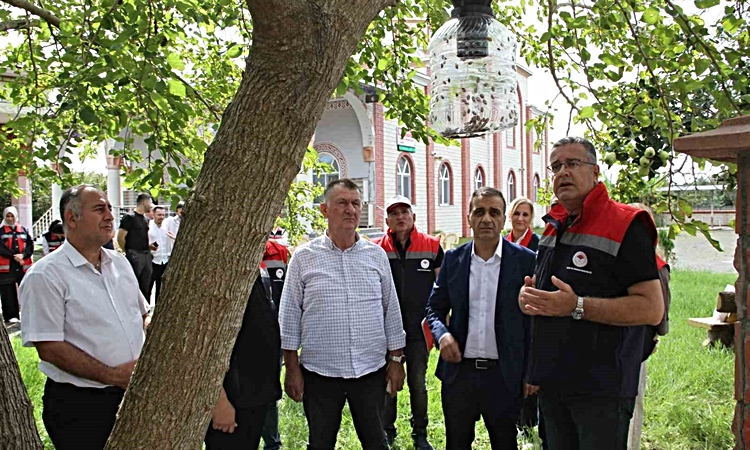 Kritik Açıklama: Kahverengi kokarcayla biyoteknik mücadele ve Merak Edilenler