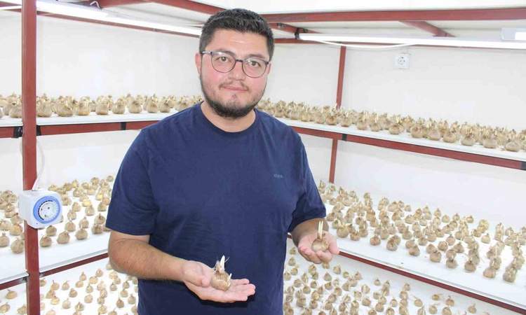 Kritik Açıklama: Kayserili girişimci, 900 bin TL'lik safranı Kayseri'de ilk kez yetiştirmeye resmen start aldı