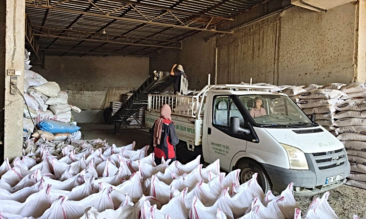 Kritik Açıklama: Kozan’da yangından etkilenen hayvan yetiştiricilerine 24 ton yem desteği | İşte Tüm Ayrıntıla