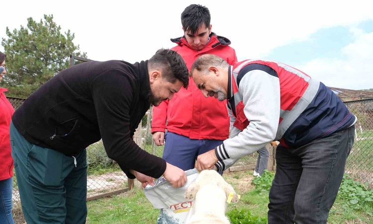 Kritik Açıklama: Kütahya Vakıflar Bölge Müdürlüğü sahipsiz hayvanlara mama desteği verdi - Son Dakika Bilgiler