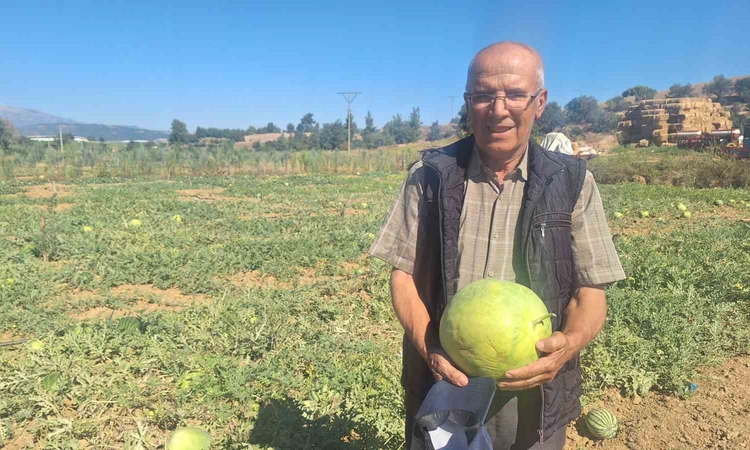 Kritik Açıklama: Manisalı çiftçi dede mirası ata tohumu karpuz geleneğini sürdürüyor - Son Dakika Bilgileri