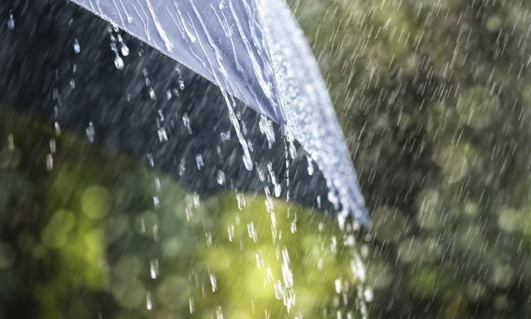 Kritik Açıklama: Meteoroloji, Aydın'da yarın öğle sonrası kuvvetli yağış için uyarı yaptı | İşte Tüm Ayrıntıla