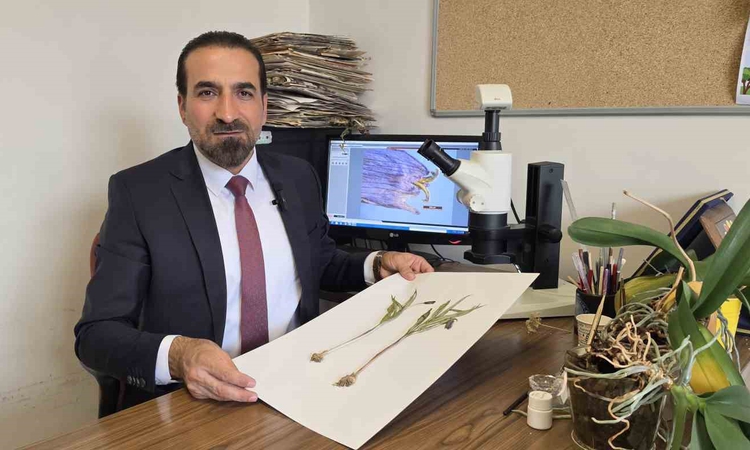 Kritik Açıklama: Muş Kurtik Dağı'ndaki yeni bitki türü Fritillaria damlana bilim dünyasına girdi