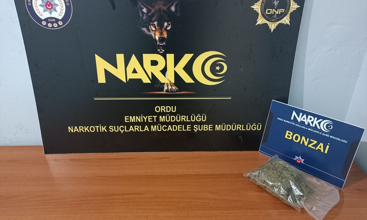 Kritik Açıklama: Ordu Fatsa'da 53,58 gram uyuşturucu ve ham maddesi ele geçirildi, şüpheli hakkında tutuklama