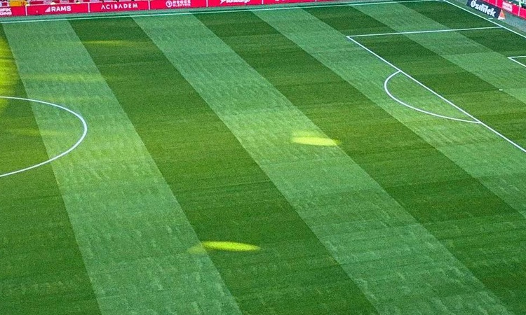 Kritik Açıklama: Rams Park Galatasaray saha çimleri değişti mi, zemin yenilendi mi? ve Merak Edilenler