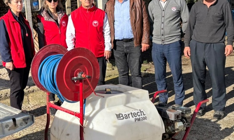 Kritik Açıklama: Samsun 19 Mayıs'ta kahverengi kokarca mücadelesi belediye ve üreticilerle sürüyor: Gelişmeler