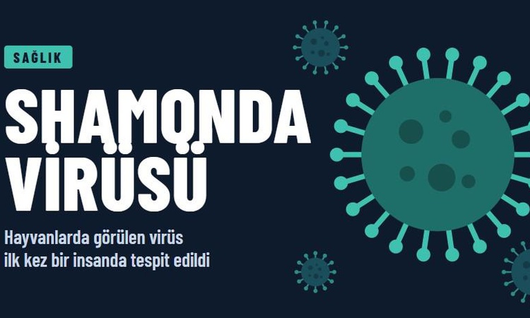 Kritik Açıklama: Shamonda virüsü ölümcül mü, tedavisi var mı, Türkiye’de Shamonda virüsü var mı? Shamonda hang