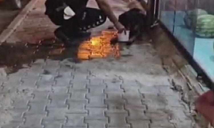 Kritik Açıklama: Silahla vurulan sokak köpeğine polis ekipleri sahip çıktı ve Merak Edilenler