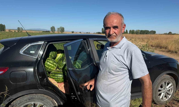 Kritik Açıklama: Tarlada bedava karpuz
