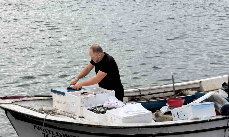 Kritik Açıklama: Tatil köyünde balıkçı kuyruğu