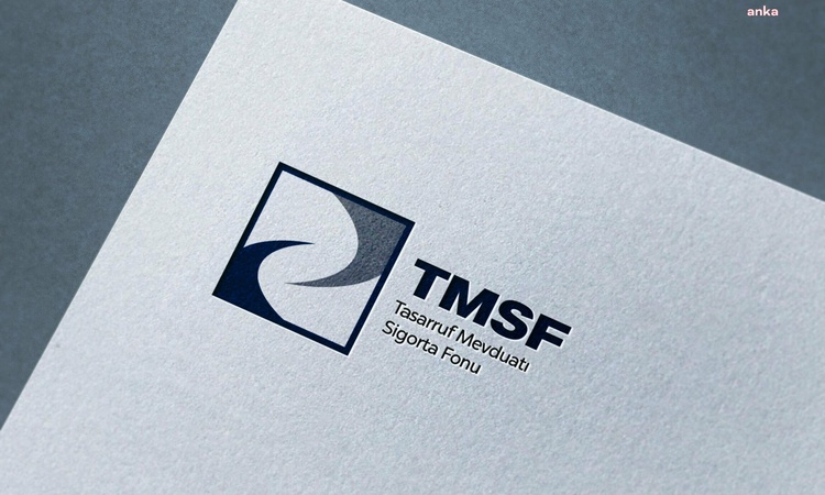 Kritik Açıklama: TMSF, Tera Yatırım Teknoloji Holding'e 14 Ekim 2026 kararıyla kayyum atandı: Gelişmeler Takip