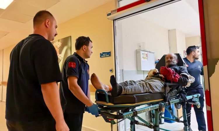 Kritik Açıklama: Tomruğa zincir bağlarken elleri sıkışan işçinin 6 parmağı koptu: Gelişmeler Takip Ediliyor