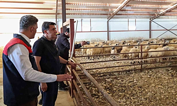 Kritik Açıklama: Tunceli’de kırsal kalkınma destekleri üreticiye güç veriyor | İşte Tüm Ayrıntılar