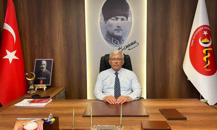 Kritik Açıklama: TVHB Başkanı, Türkiye'nin yumurta sektöründeki potansiyelini vurguladı: Gelişmeler Takip Edil