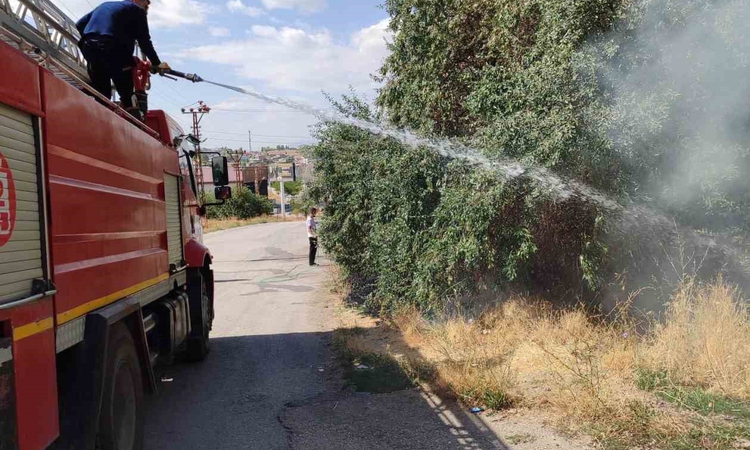 Kritik Açıklama: Van'ın Özalp ilçesinde bahçede çıkan yangın evlere sıçramadan söndürüldü