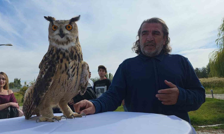 Kritik Açıklama: Van YYÜ, Dünya Göçmen Kuşlar Günü'nde tedavisi tamamlanan şahini doğaya bıraktı: Gelişmeler T