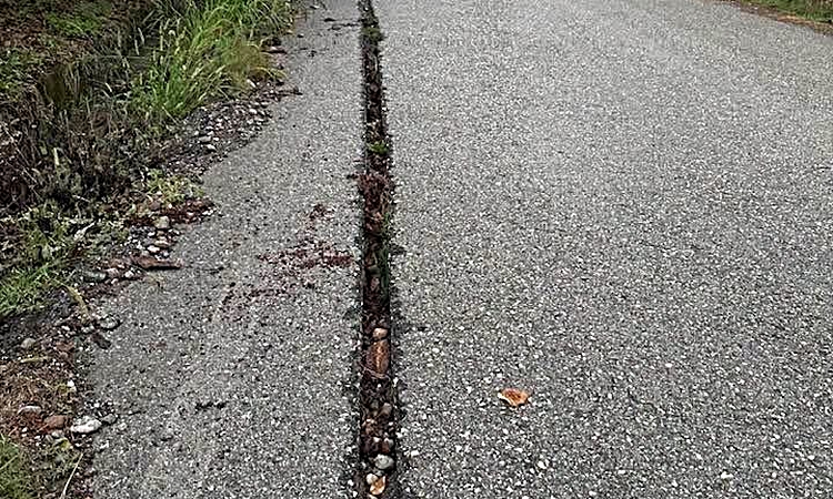 Kritik Açıklama: Zonguldak Alaplı'da fiber kazısı kapatılmadı iddiasıyla köylü yetkililere çağrı yaptı ve Mera