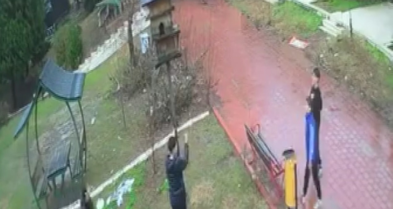 Gündemden Son Bilgiler: Küçük çocuklar parktaki kuş yuvasını parçaladı - Son Dakika - Son Dakika Bilgileri