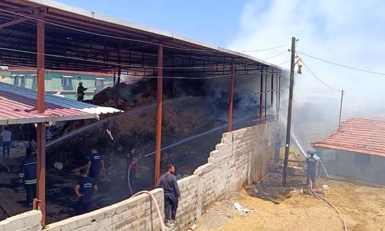 Three Calves Perish in Hayloft Fire in Kumlu