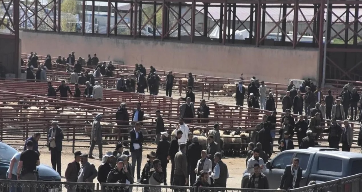 Sıcak Gündem: Kurban Bayramı öncesi hayvan pazarında kan aktı! 1 ölü, 13 yaralı - En Son Haber
