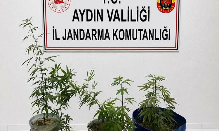 Kuşadası'nda Uyuşturucu Operasyonu: 3 Gözaltı - Son Dakika ve Merak Edilenler