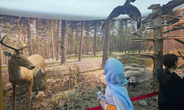 Kütahya'da 70 öğrenci Çamlıca Tabiat Parkı'nda doğayı uygulamalı etkinliklerle tanıdı
