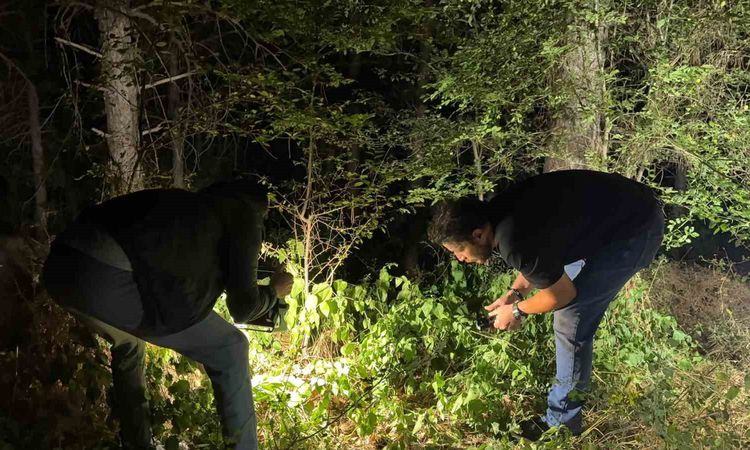 Son Gelişme: Kütahya'da Silahlı Yaralama: Bir Kişi Gözaltında - Son Dakika - Son Dakika Bilgileri
