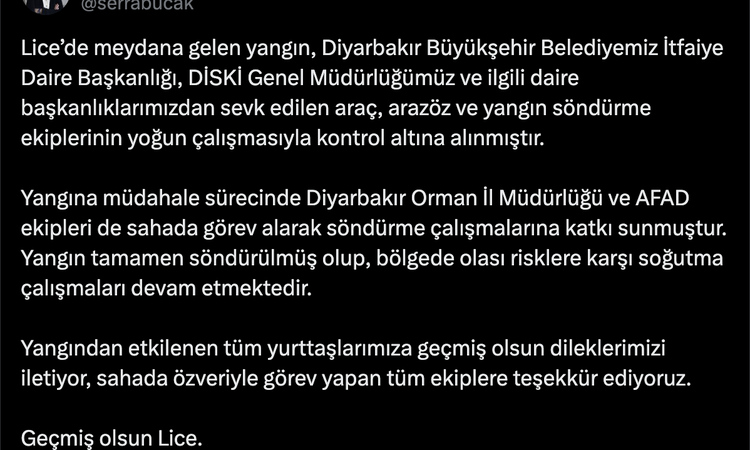 Ayrıntılar Netleşti: Lice'deki Yangın Kontrol Altına Alındı - Son Dakika Haberleri | İşte Tüm Ayrıntılar