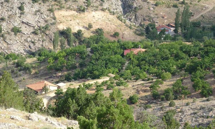Ayrıntılar Netleşti: Malatya'da kayıp Aysu baskını Yıldırım'ın cenazesi için arama çalışmaları sürüyor - Son D