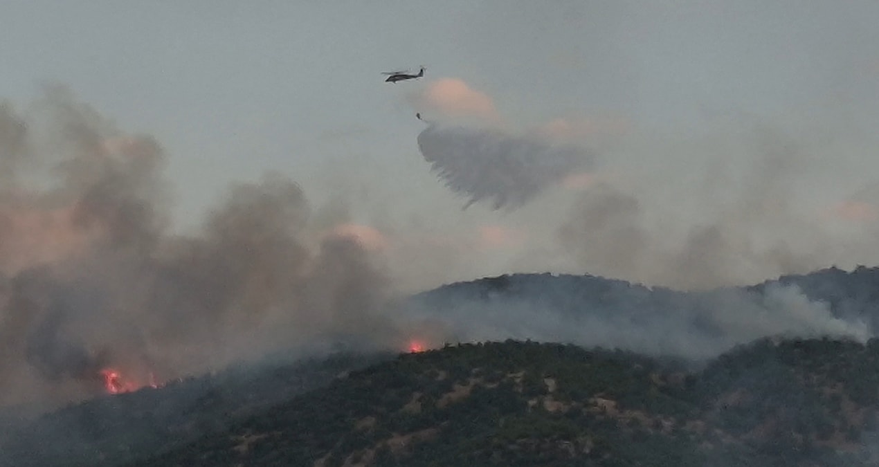 Forest fire in Malatya Pütürge - Latest News