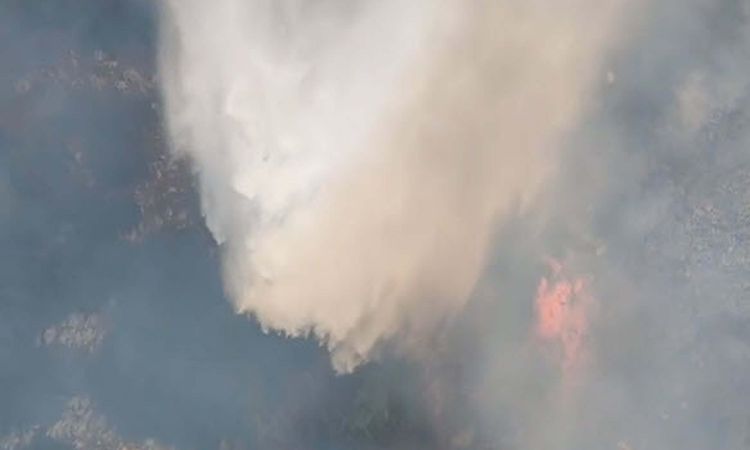 Forest flames in Manisa are under control after 14 hours - News