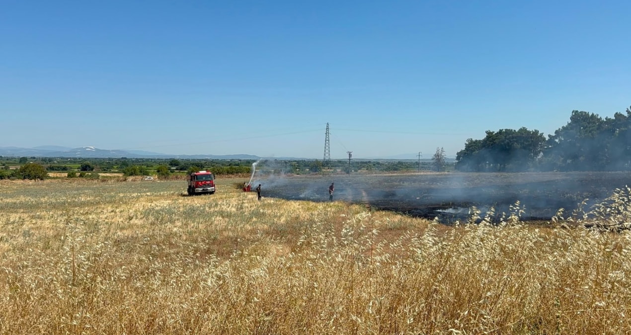 The fire in the grassland in Manisa was extinguished - Last Minute
