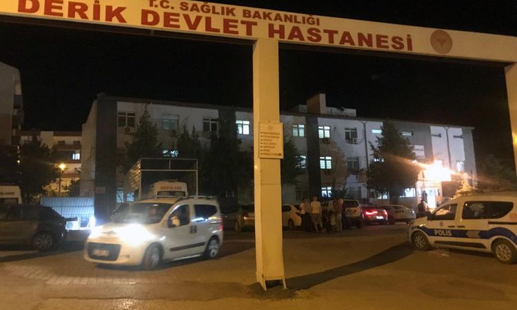 Kritik Açıklama: Mardin'de dereye düşen 3 yaşındaki Eslem, yaşamını yitirdi - Son Dakika - Son Dakika Bilgiler