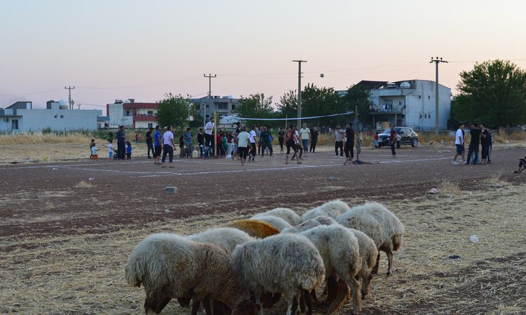 Kritik Açıklama: Mardin'de Köylüler Kendi İmkanlarıyla Kurdukları Toprak Sahada Voleybol Oynuyor - Haberleri -