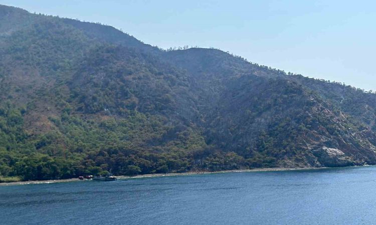 Marmaris'te alevler kontrol altına alınıyor - Son Dakika Haberleri: Gelişmeler Takip Ediliyor
