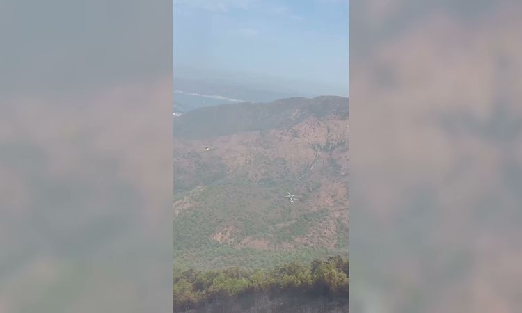 Marmaris'te alevler kontrol altına alınmaya çalışılıyor - Son Dakika Haberleri