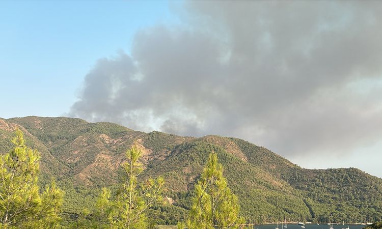Ayrıntılar Netleşti: Marmaris'te çıkan orman alevlerına müdahale ediliyor - Son Dakika Haberleri ve Merak Edil