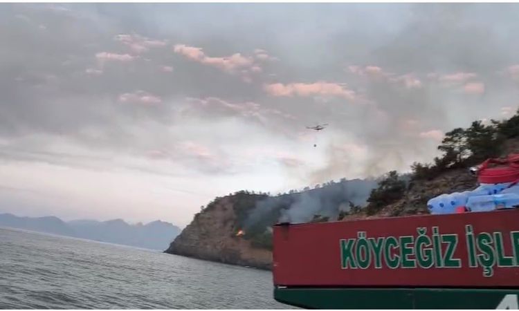 Kritik Açıklama: Marmaris'te Yangınla 17 Saatlik Mücadele - Haberleri: Gelişmeler Takip Ediliyor