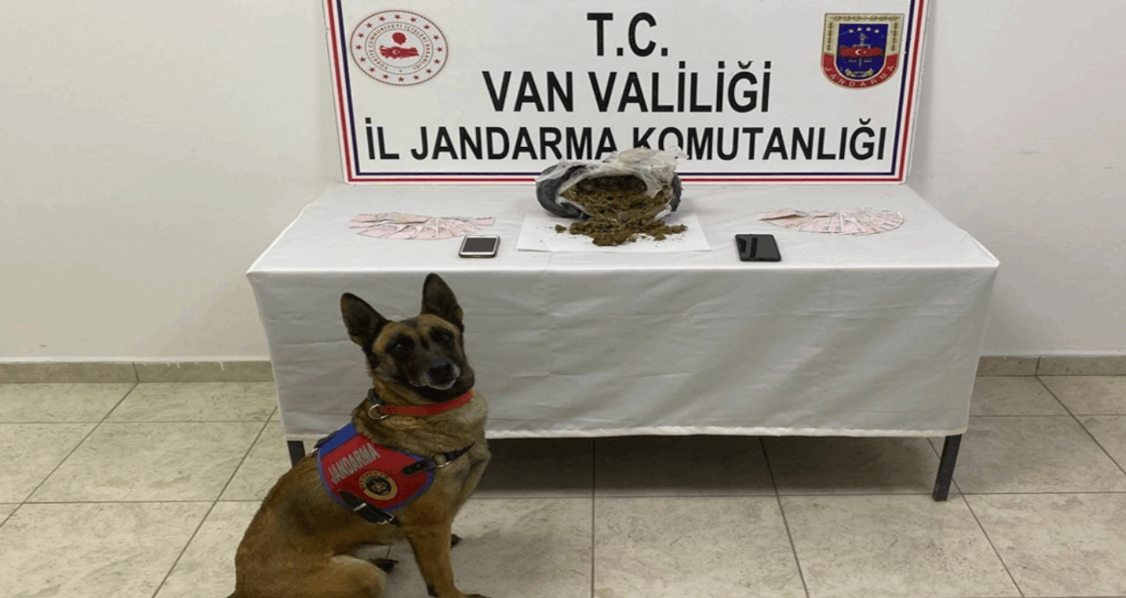 Gündemden Son Bilgiler: Mezarlık yakınında 1 kilo skunk yakalandı - Son Dakika Haberleri