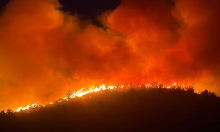 Milas has been burning for 8 hours: 350 hotels and 770 holiday sites were evacuated - News