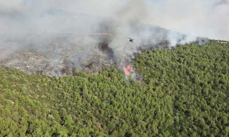 Forest flames in Milas - News