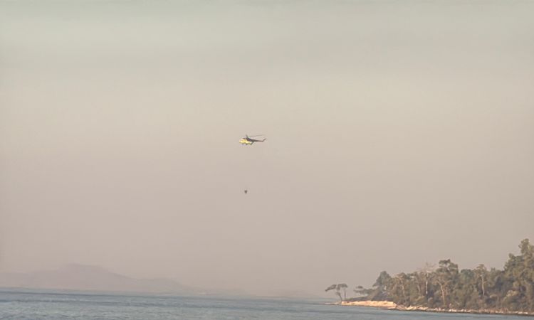 Forest flames in Milas - News
