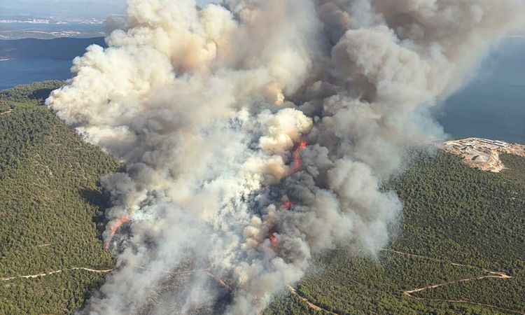 Forest flames in Milas - Breaking News