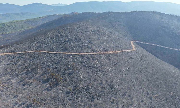Forest flames in Milas are on the 2nd day - Breaking News