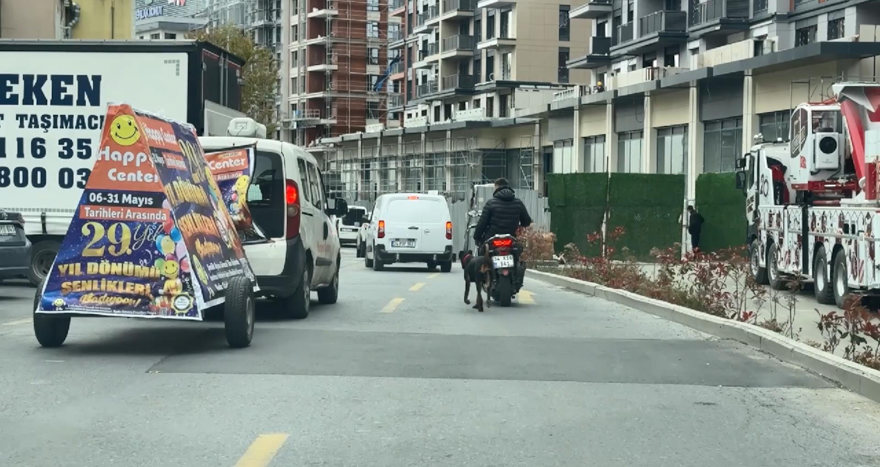 Gündemden Son Bilgiler: Motosiklete bağladığı köpeği metrelerce koşturdu! - En Son Haber - Son Dakika Bilgiler