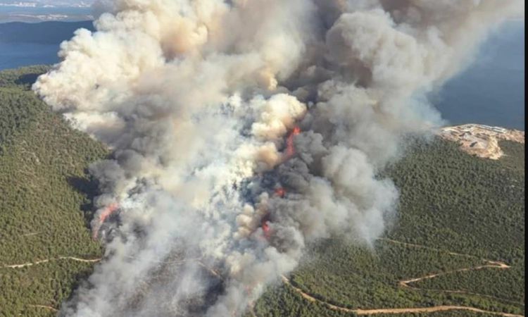 Have the Muğla flames gone out? Have the Muğla flames been restrained? FLASH DEVELOPMENT? - News